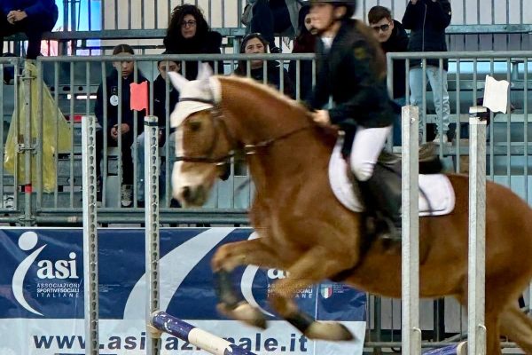 Fieracavalli 1