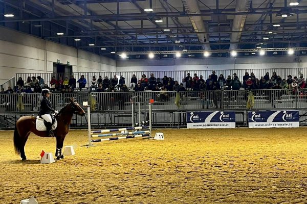 Fieracavalli 2